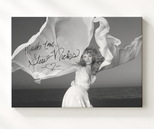 Stevie Nicks - Edge of Seventeen Grace 16x20 Gallery Frame vintage music wall art