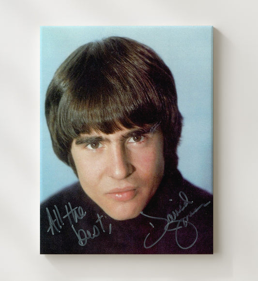 The Monkees - Davy Jones Young Studio Photo 16x20 Gallery Frame vintage music wall art