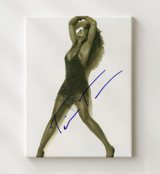 Tina Turner - Studded Dress Performance Pose 16x20 Gallery Frame vintage music wall art