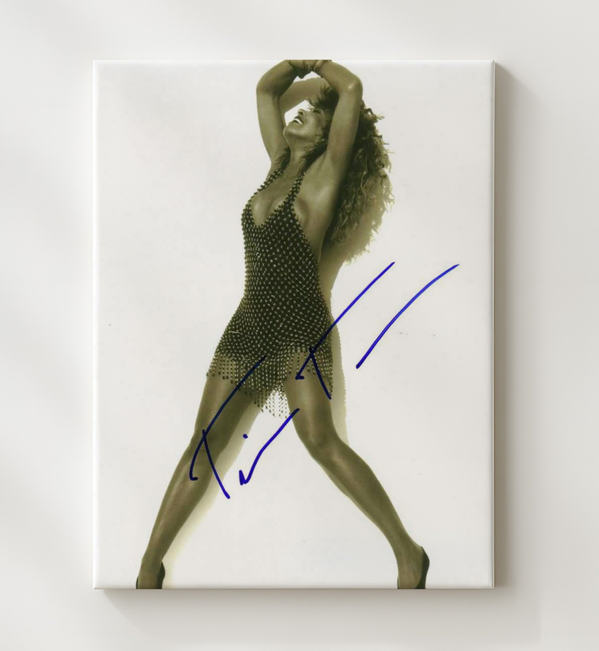 Tina Turner - Studded Dress Performance Pose Music Wall Art 20x24 Canvas wall art print – Music decor
