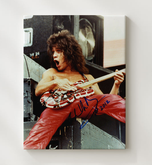 Van Halen - Eddie Van Halen Live Guitar Performance Red Pants 16x20 Gallery Frame vintage music wall art