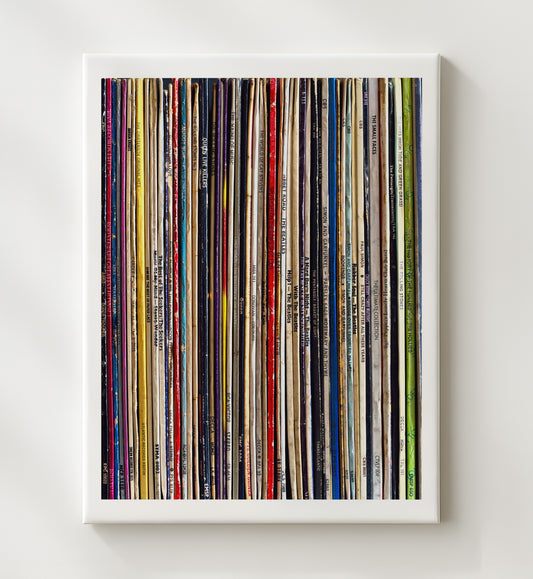 Vinyl Collection - Record Spine Spectrum 16x20 Gallery Frame vintage music wall art