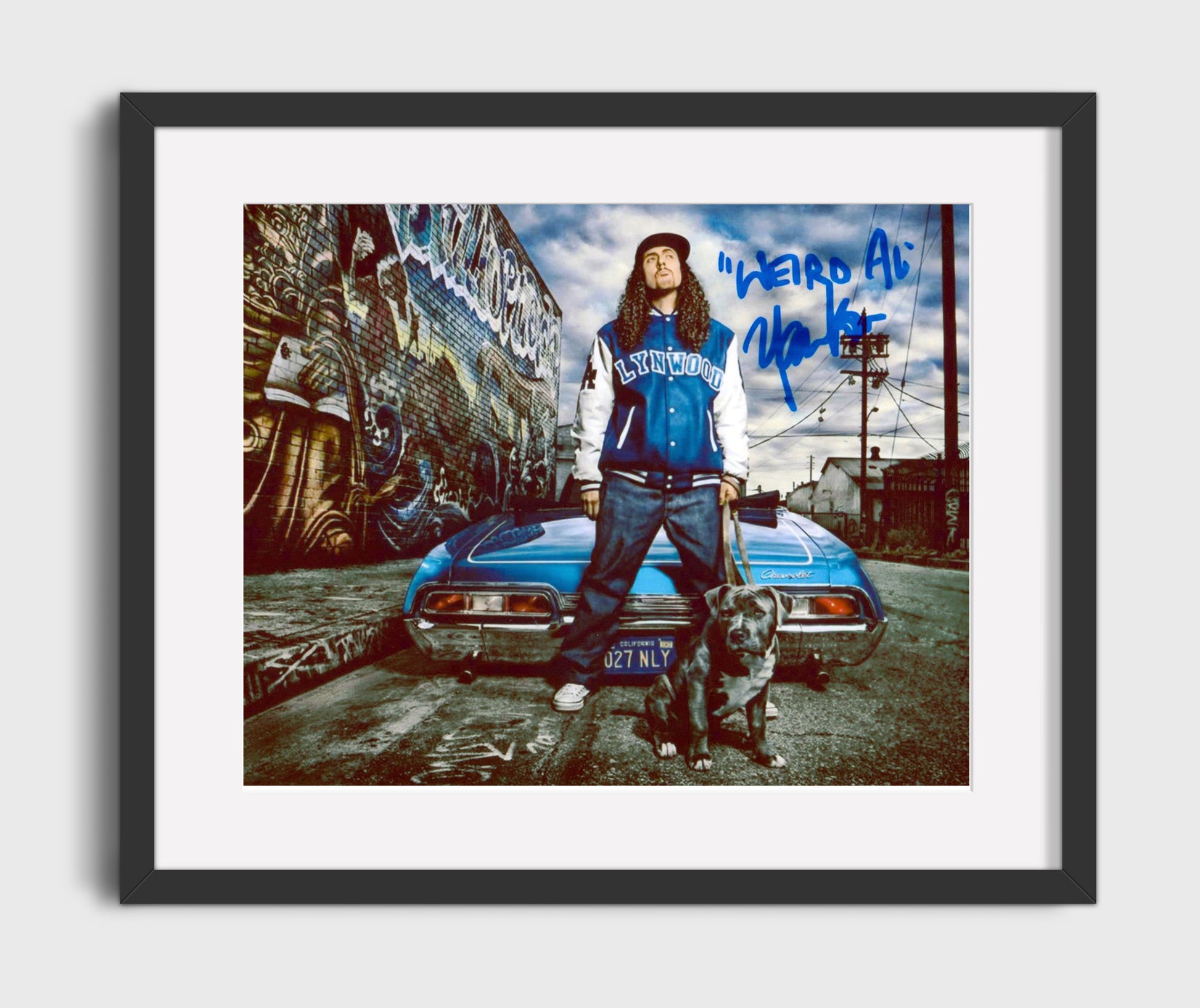 Weird Al Yankovic - Parody King - Vintage Music Wall Art - 16x20 Gallery Frame music decor