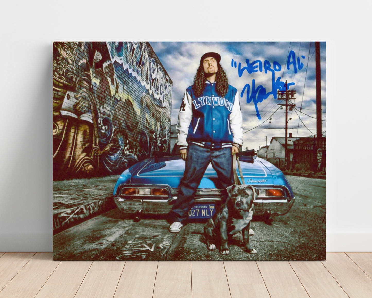Weird Al Yankovic - Parody King - Vintage Music Wall Art - 16x20 Unframed Print music decor