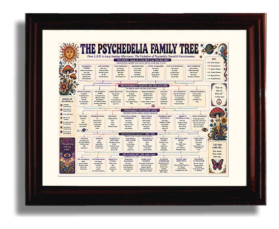 Psychedelia Family Tree Music Family Tree Wall Art 8x10 Beveled Frame wall art print – Music Family Tree Wall Art decor