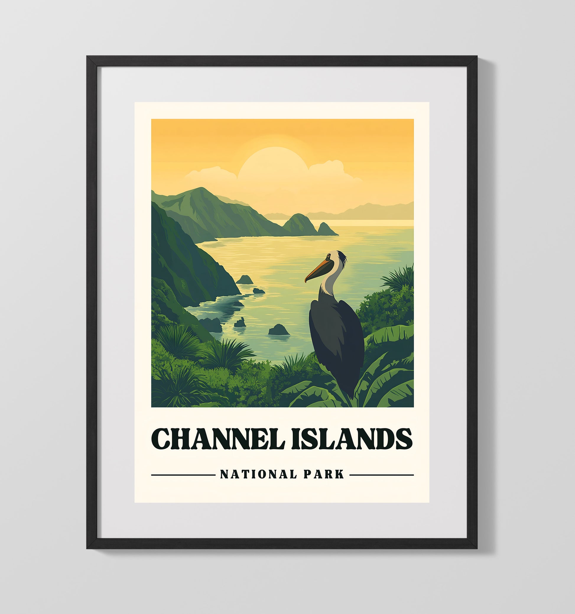 Channel Islands Anacapa Island National Parks Wall Art - 16x20 Gallery Frame