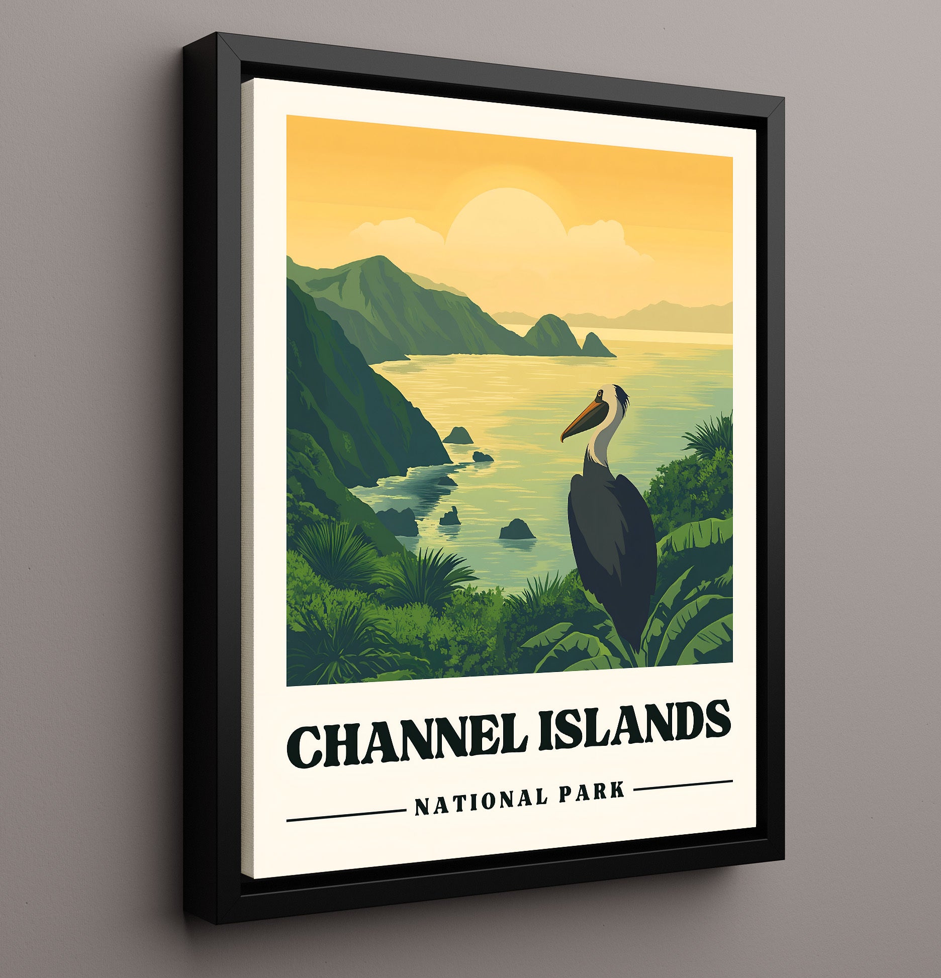 Channel Islands Anacapa Island National Parks Wall Art - 16x20 Framed Canvas