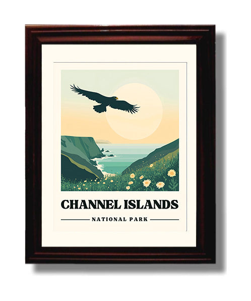 Channel Islands Caven Point National Parks Wall Art - 8x10 Beveled Frame