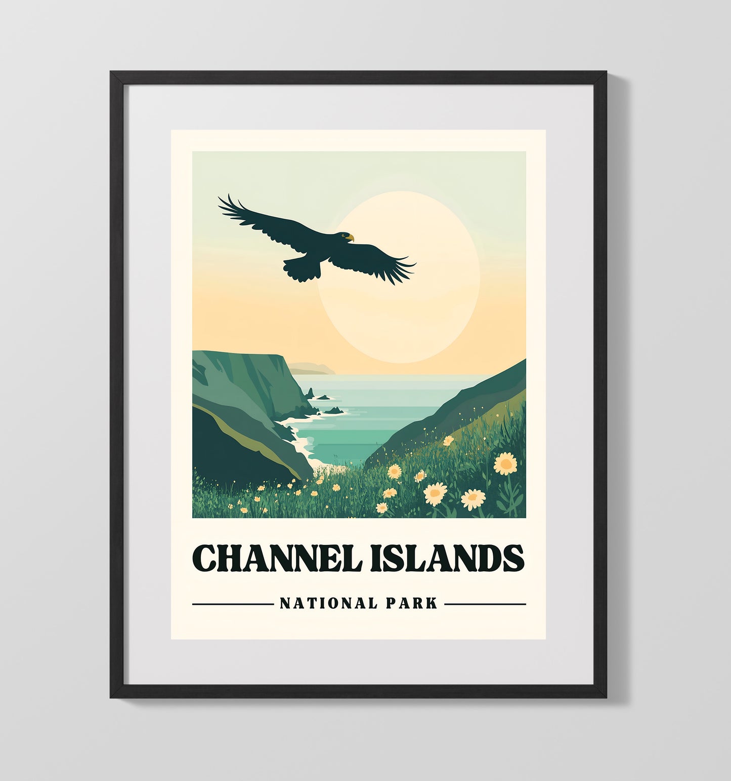 Channel Islands Caven Point National Parks Wall Art - 16x20 Gallery Frame