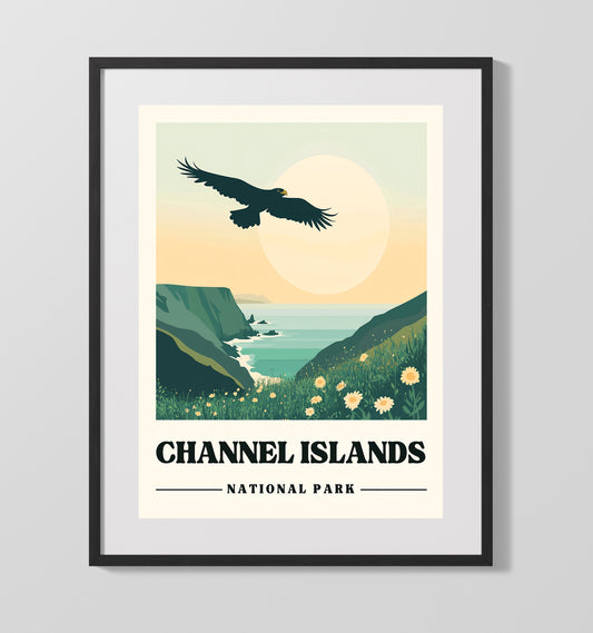 Channel Islands - Cavern Point - National Park - 16x20 Gallery Frame