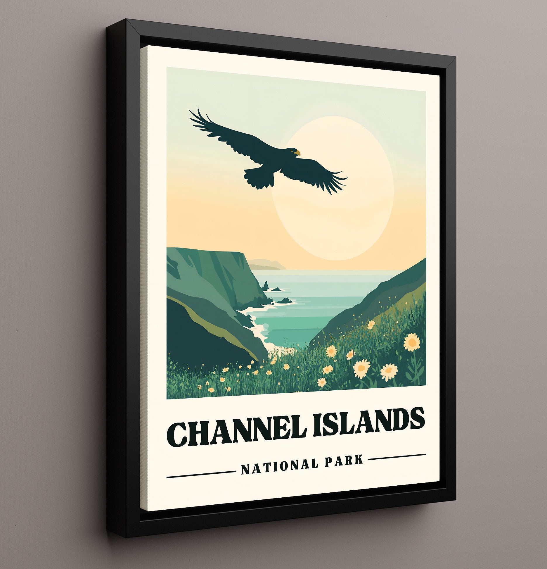 Channel Islands Caven Point National Parks Wall Art - 16x20 Framed Canvas