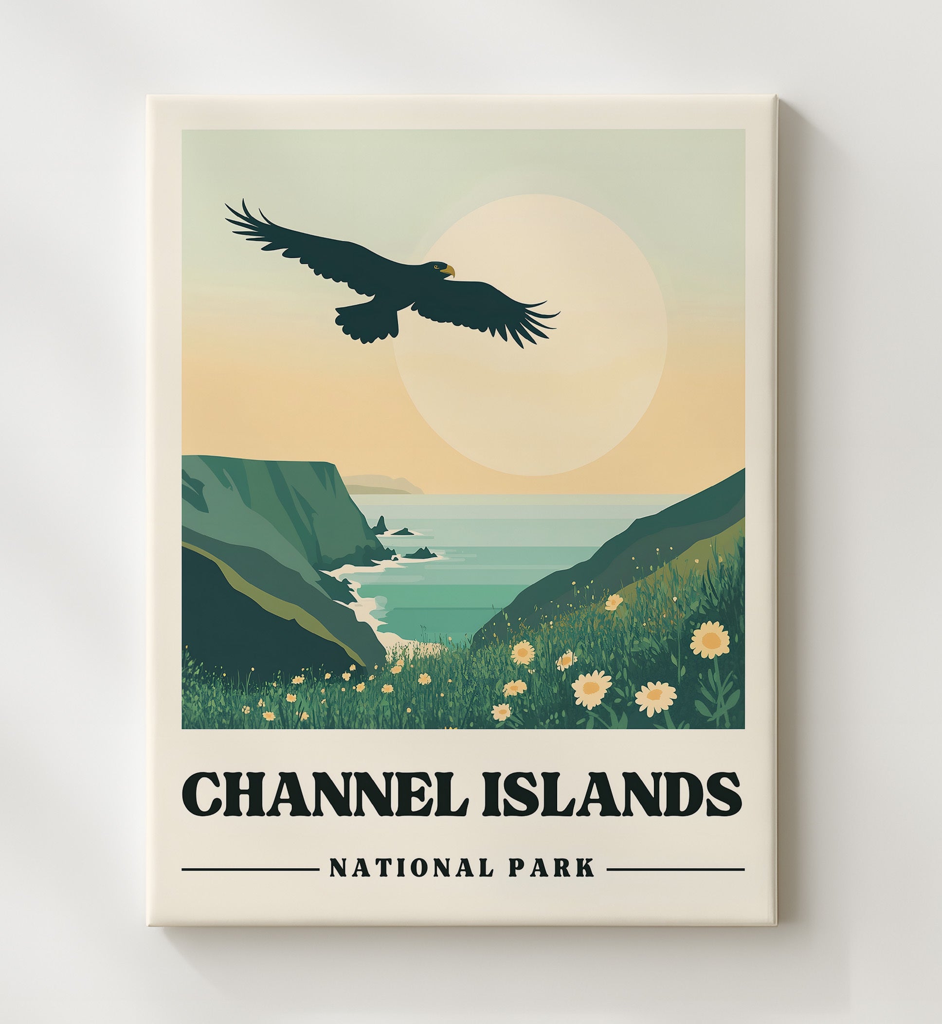 Channel Islands Caven Point National Parks Wall Art - 20x24 Canvas