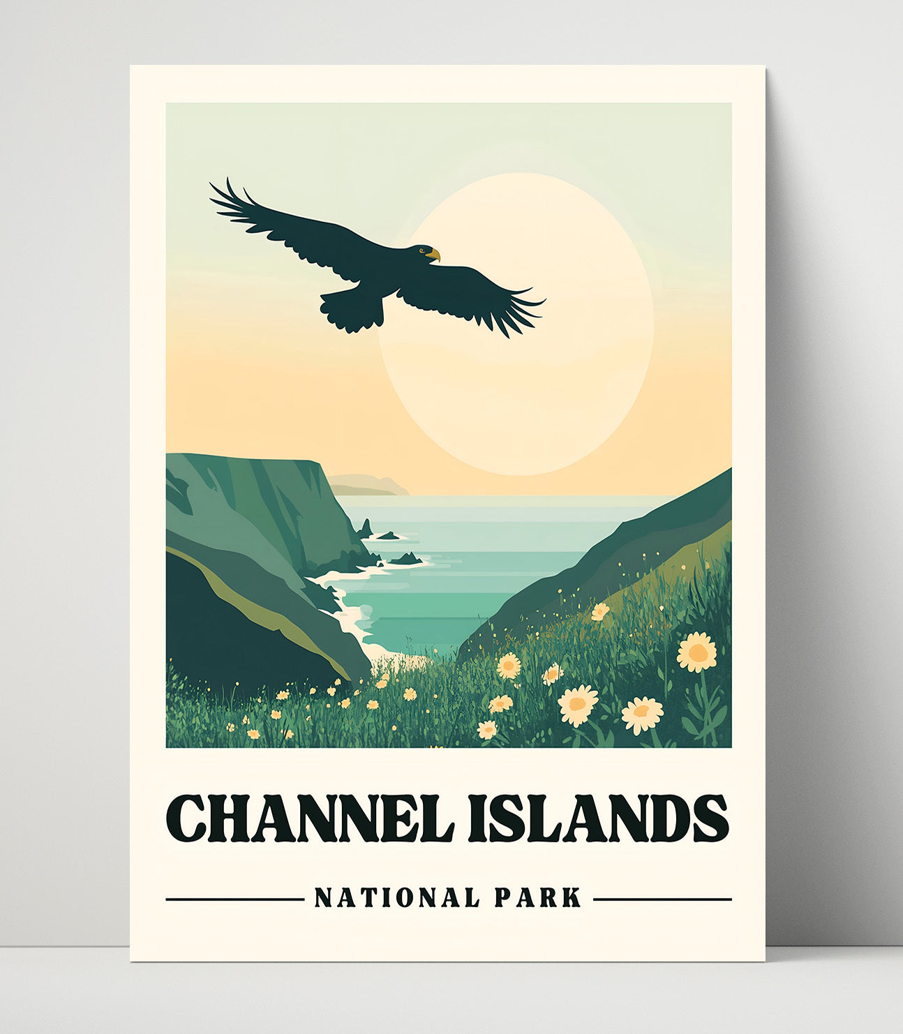 Channel Islands Caven Point National Parks Wall Art - 16x20 Unframed Print