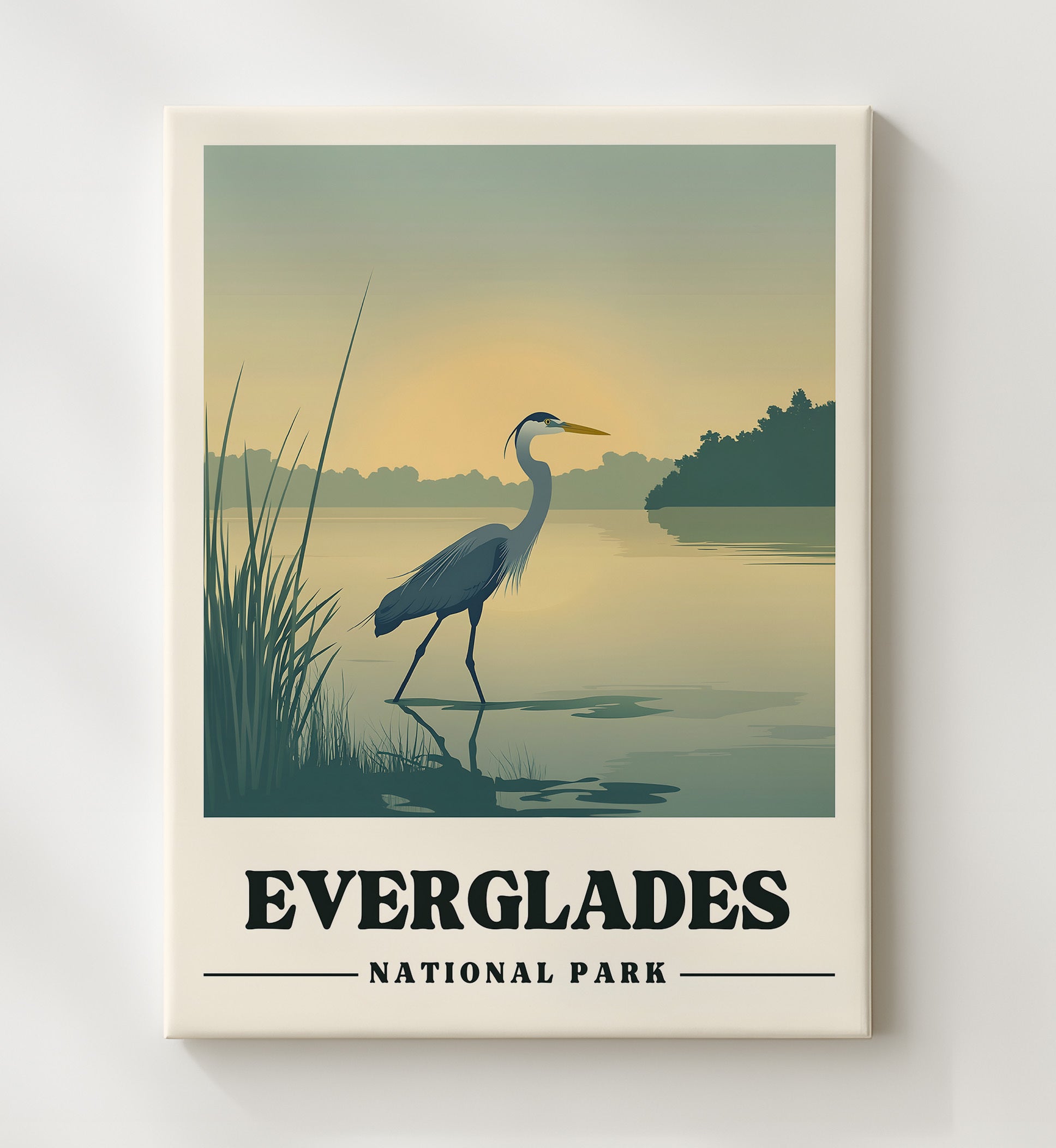 Everglades Version 1 National Parks Wall Art - 20x24 Canvas