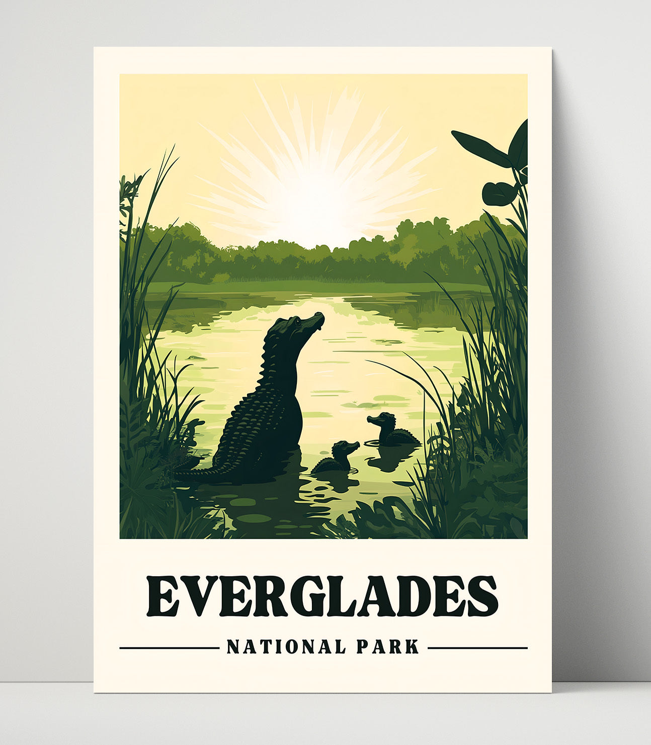 Everglades Version 2 National Parks Wall Art - 16x20 Unframed Print