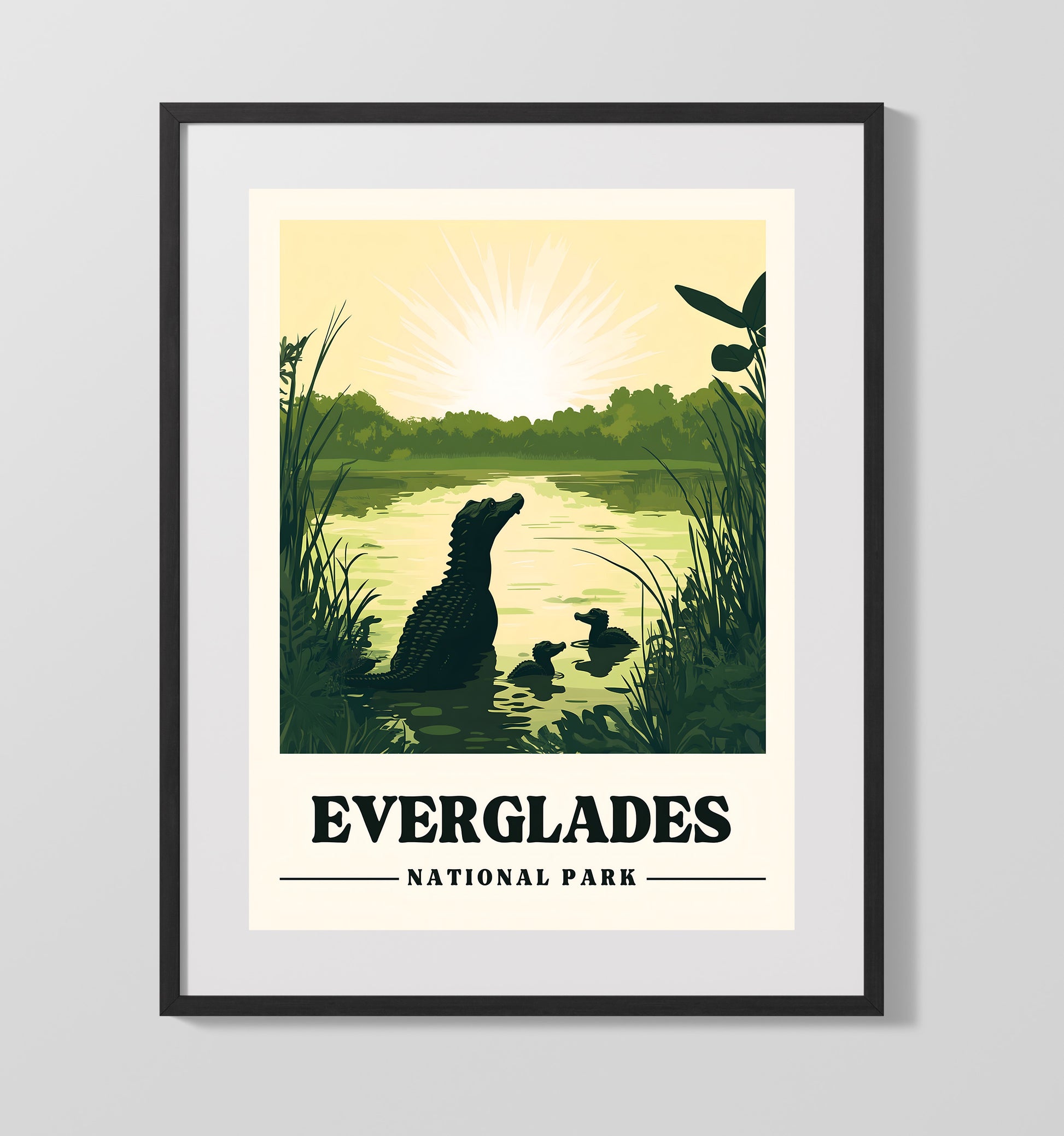 Everglades Version 2 National Parks Wall Art - 16x20 Gallery Frame