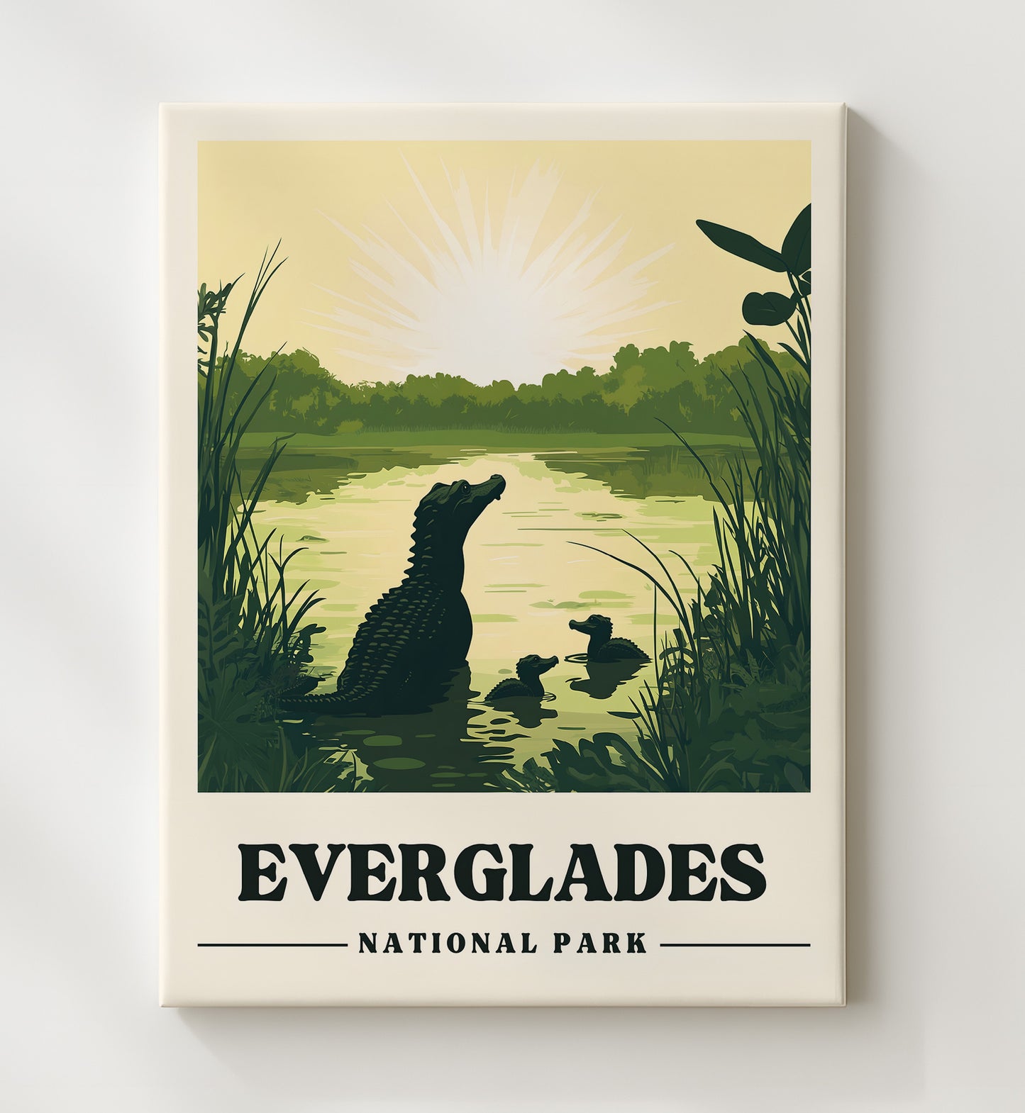 Everglades Version 2 National Parks Wall Art - 20x24 Canvas