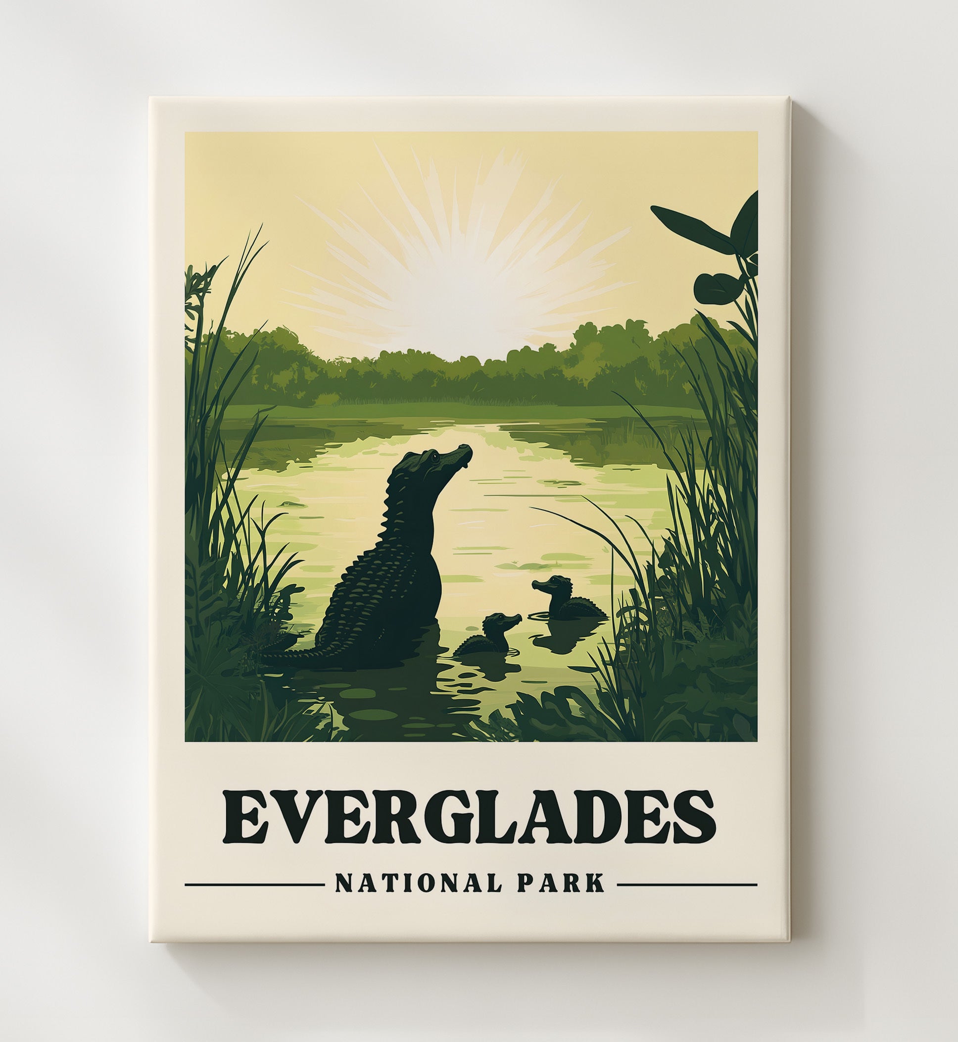 Everglades Version 2 National Parks Wall Art - 20x24 Canvas