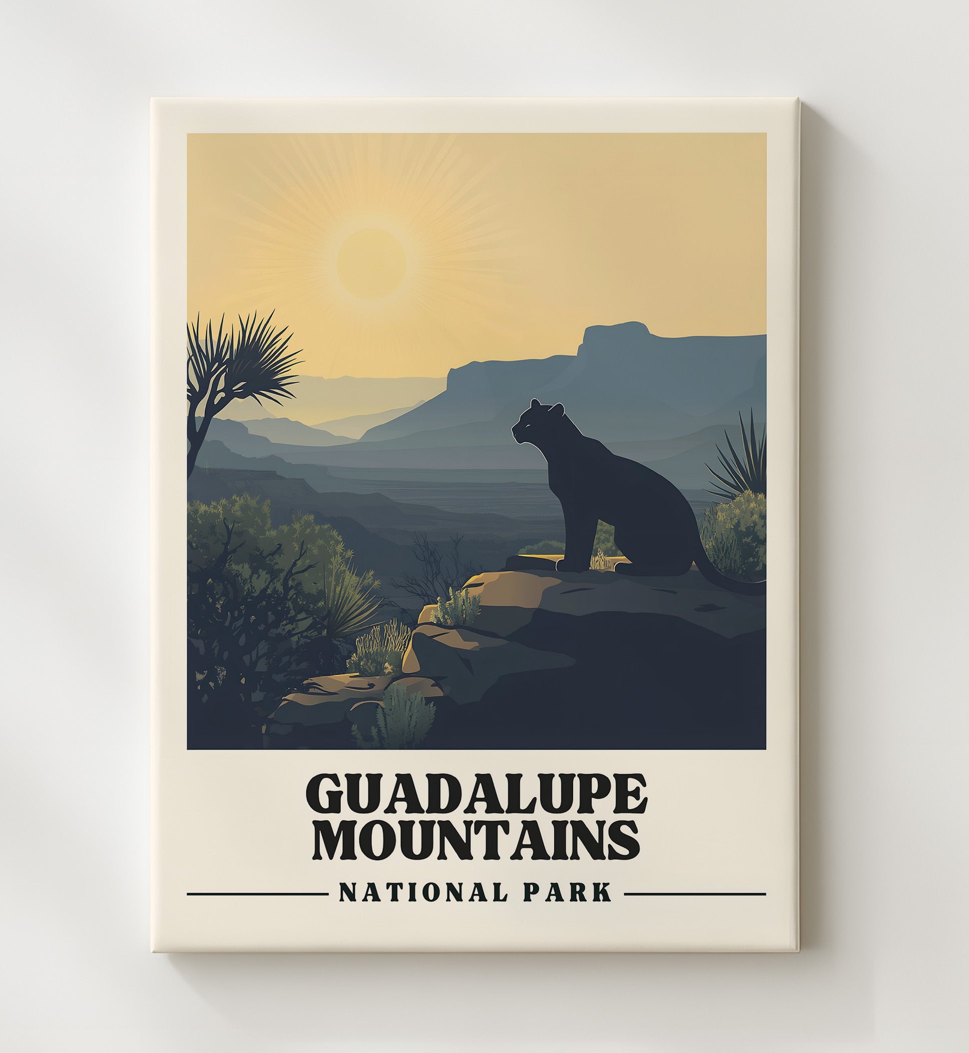 Guadalupe Mountains Guadalupe Peak National Parks Wall Art - 20x24 Canvas