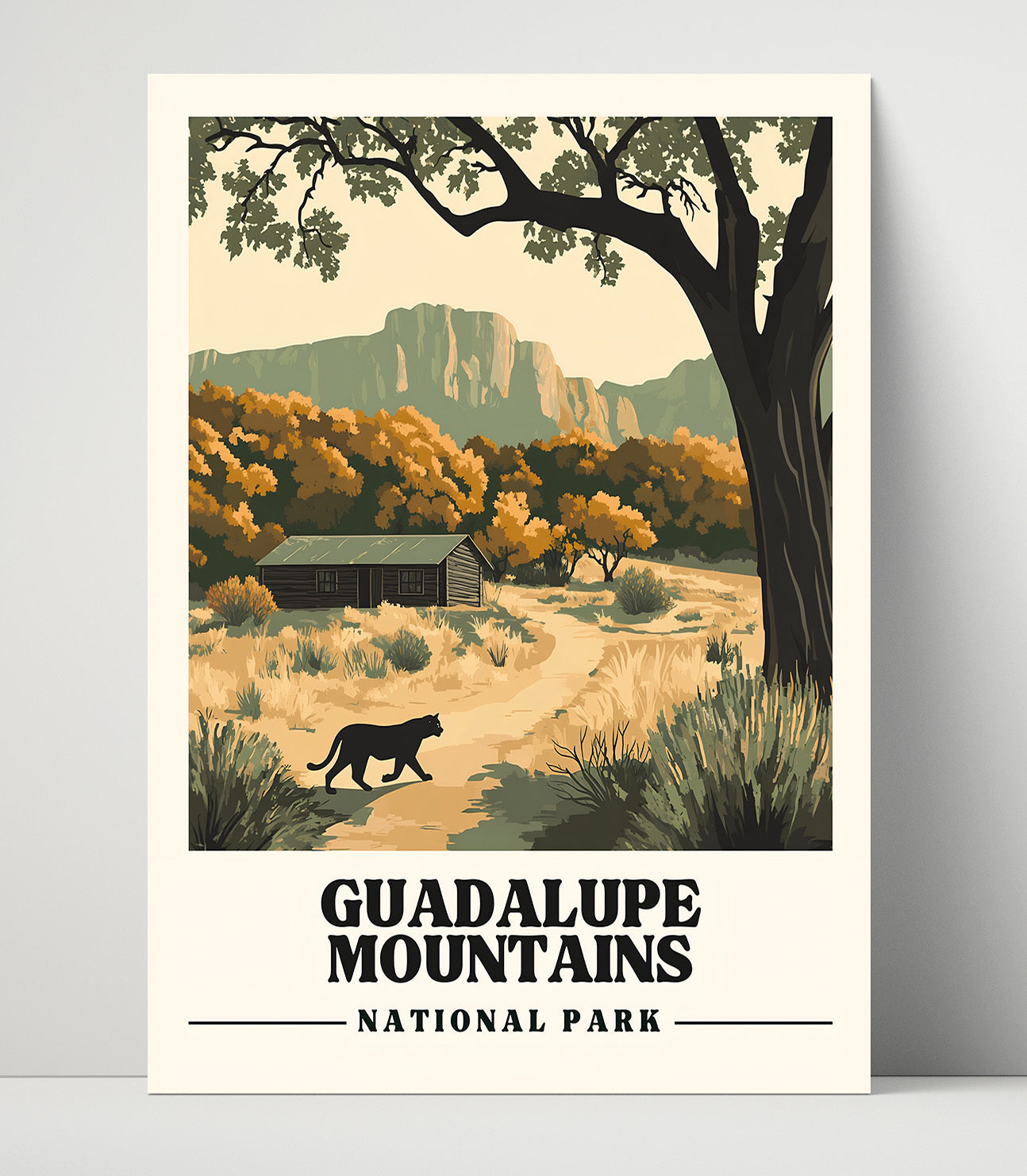 Guadalupe Mountains McKittrick Canyon National Parks Wall Art - 16x20 Unframed Print