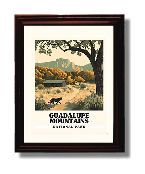 Guadalupe Mountains McKittrick Canyon National Parks Wall Art - 8x10 Beveled Frame