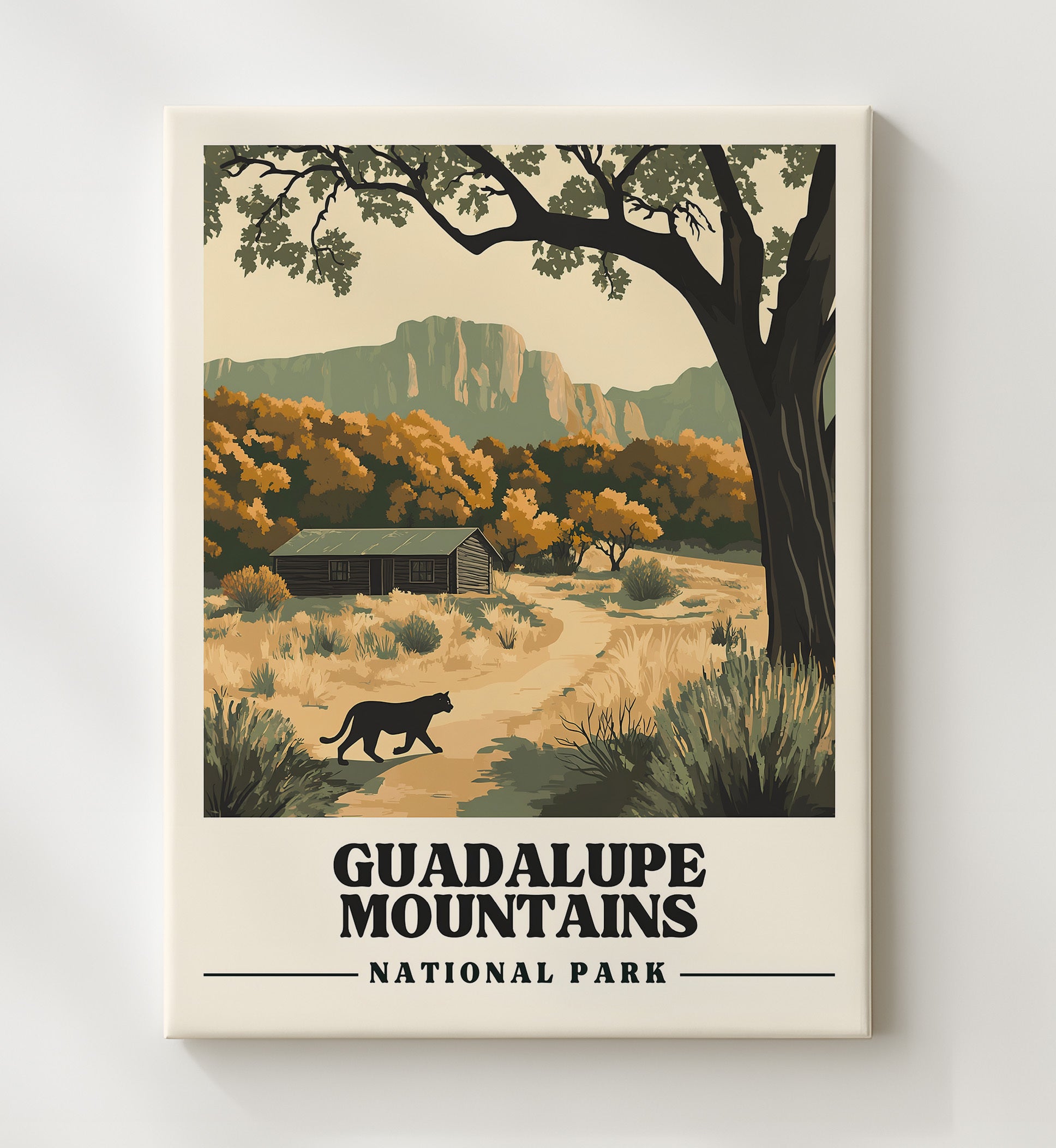 Guadalupe Mountains McKittrick Canyon National Parks Wall Art - 20x24 Canvas