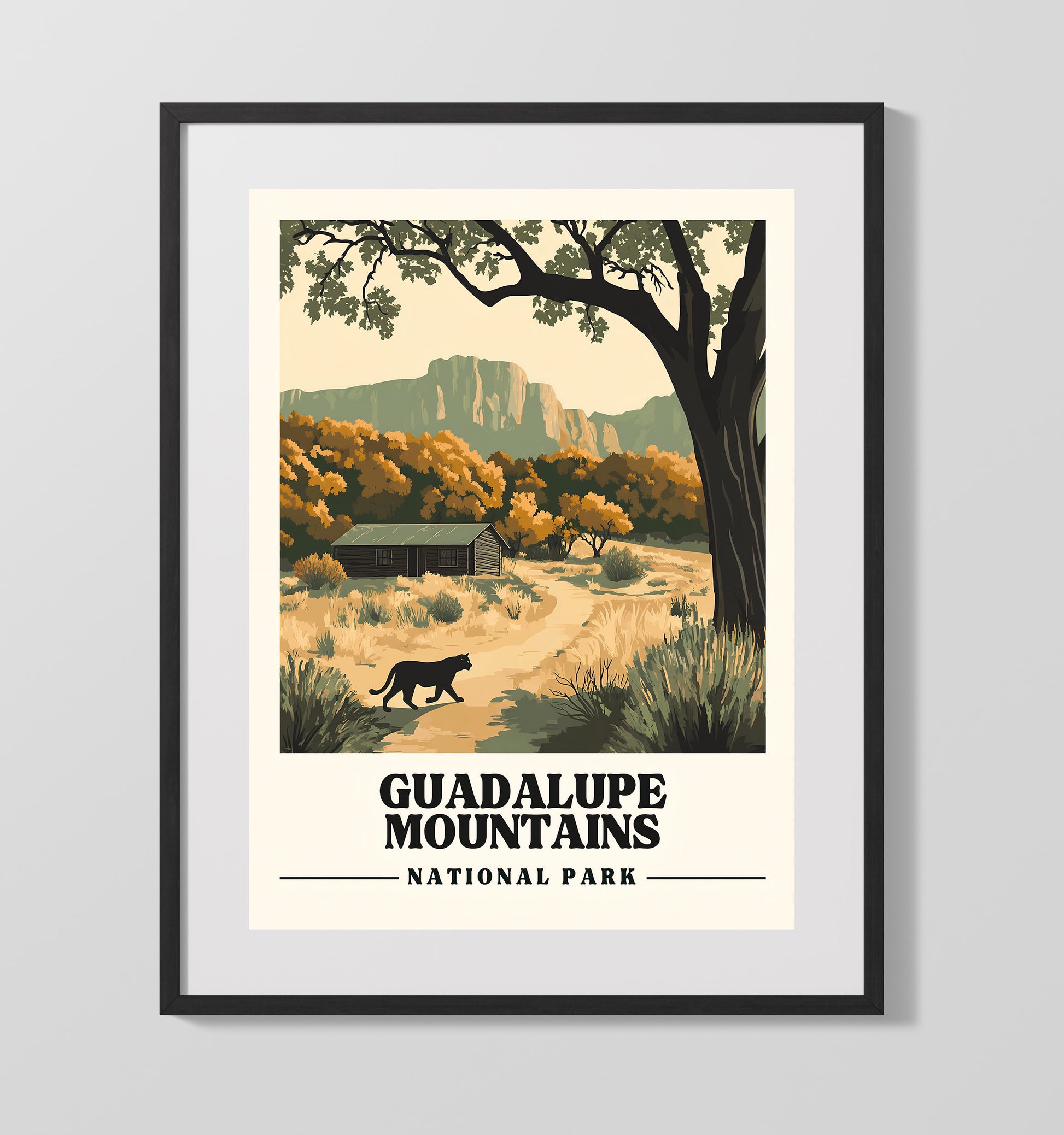 Guadalupe Mountains McKittrick Canyon National Parks Wall Art - 16x20 Gallery Frame