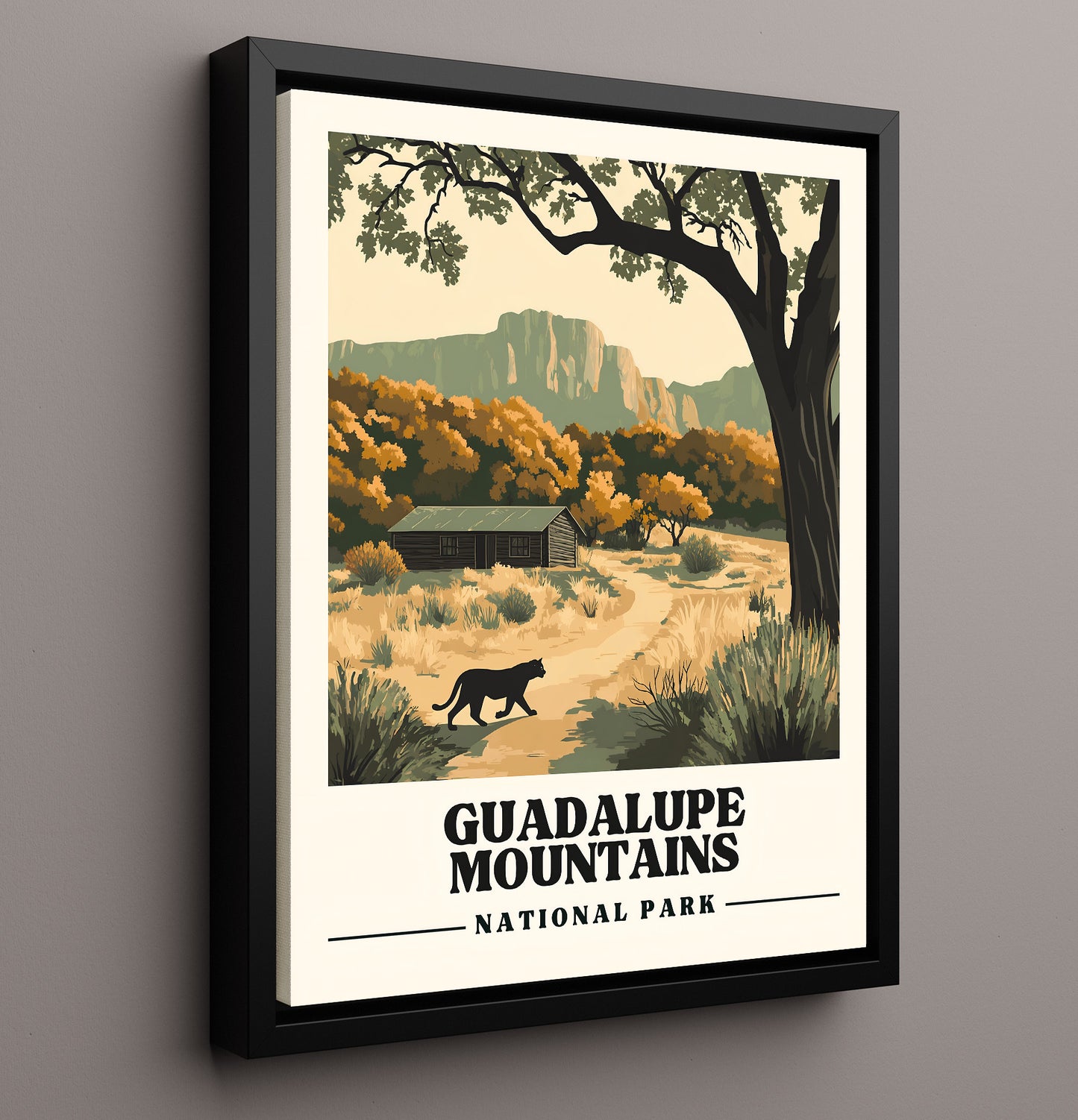 Guadalupe Mountains McKittrick Canyon National Parks Wall Art - 16x20 Framed Canvas