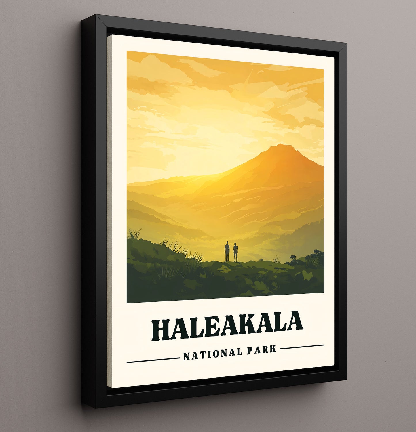 Haleakala Haleakala Summit National Parks Wall Art - 16x20 Framed Canvas