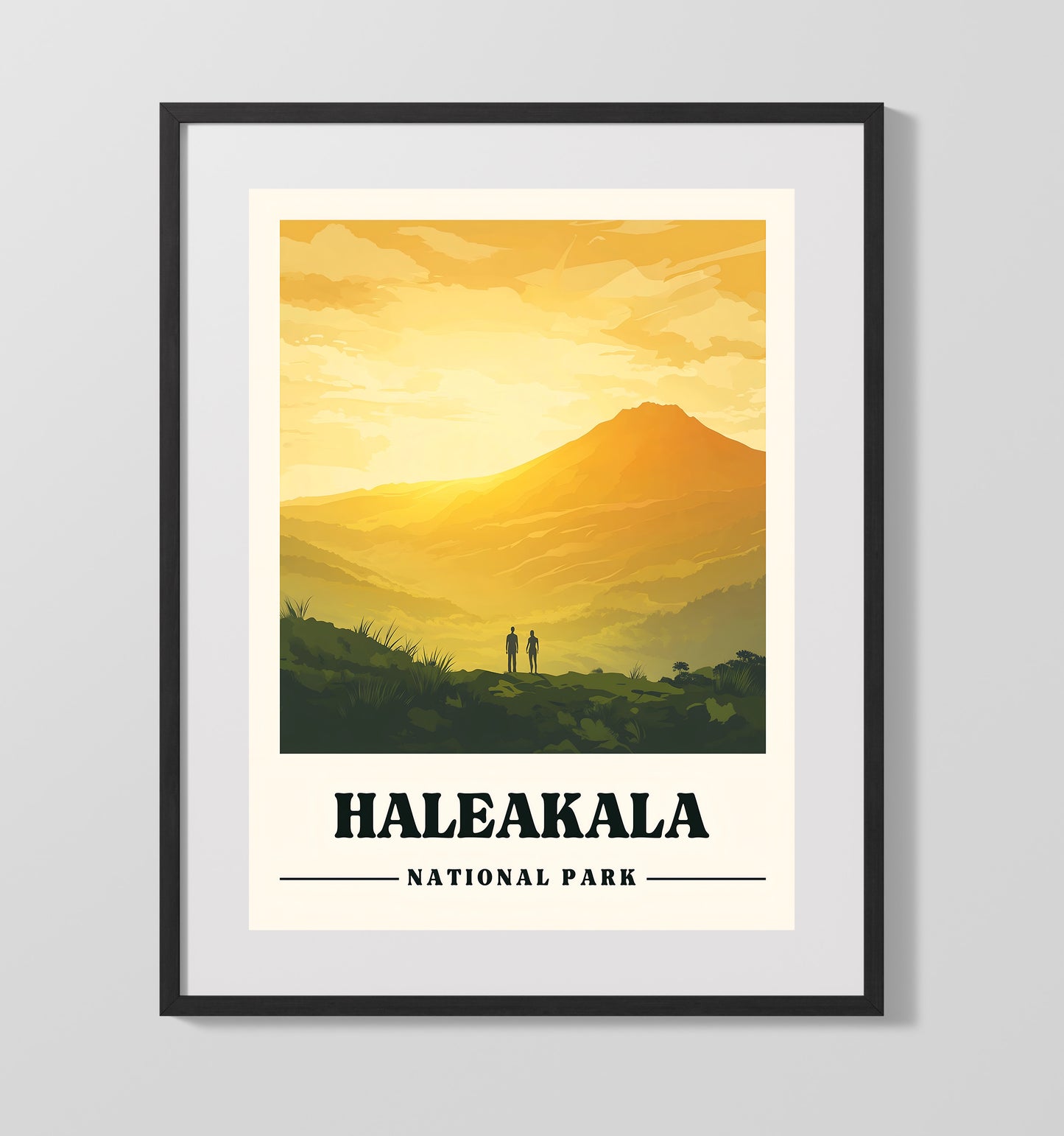 Haleakala Haleakala Summit National Parks Wall Art - 16x20 Gallery Frame