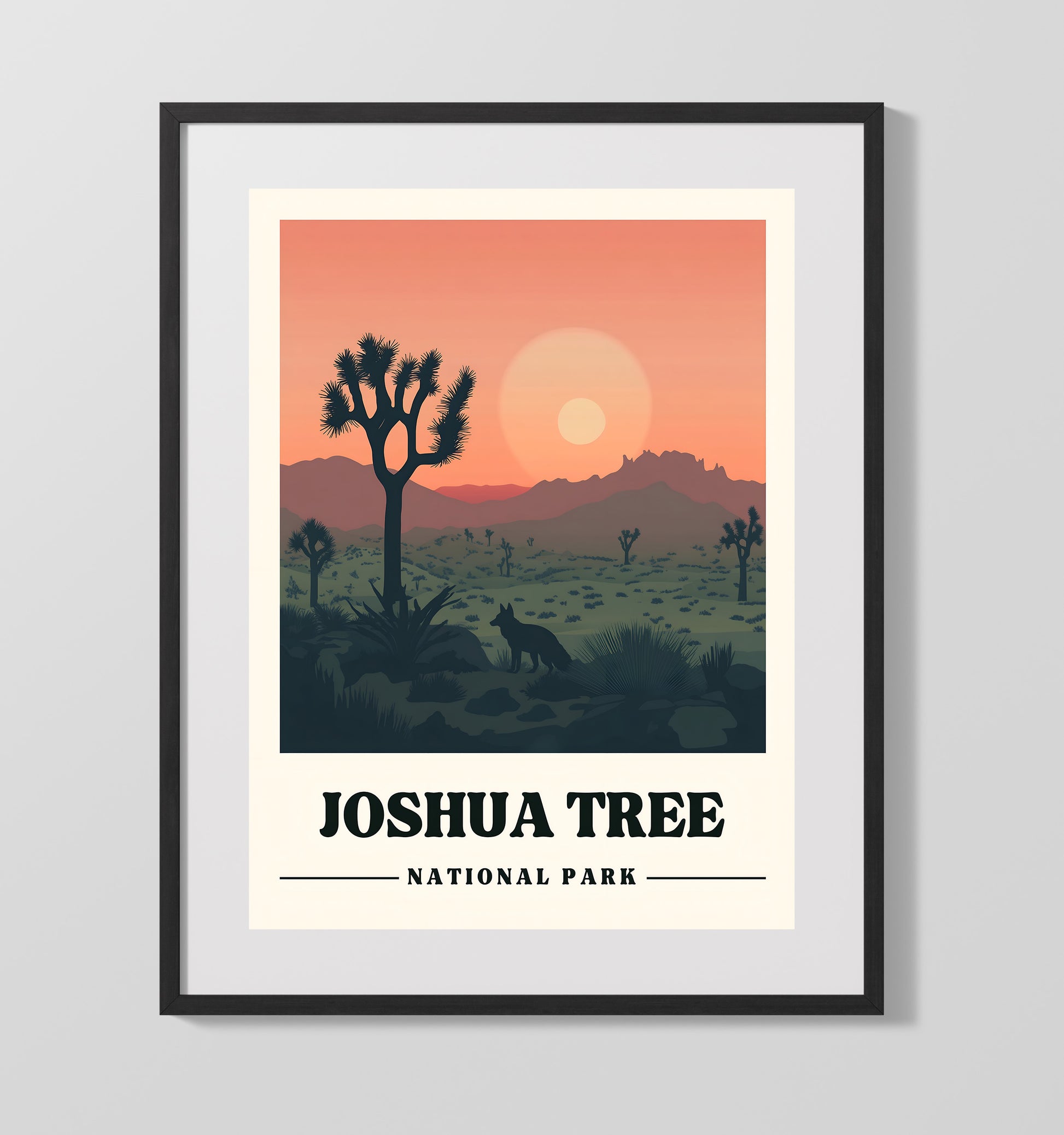 Joshua Tree Hidden Valley 4 National Parks Wall Art - 16x20 Gallery Frame