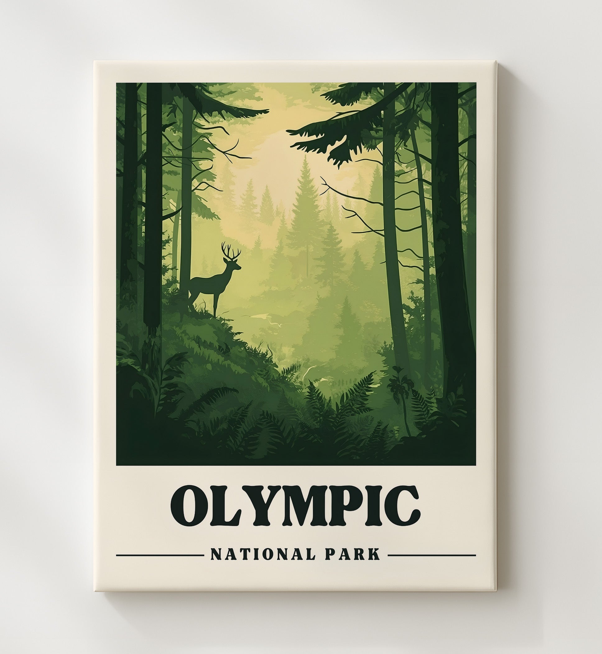 Olympic Hoh Rain Forest National Parks Wall Art - 20x24 Canvas