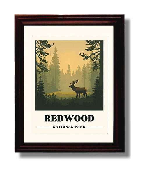 Redwood Tall Trees Grove Version 1 National Parks Wall Art - 8x10 Beveled Frame
