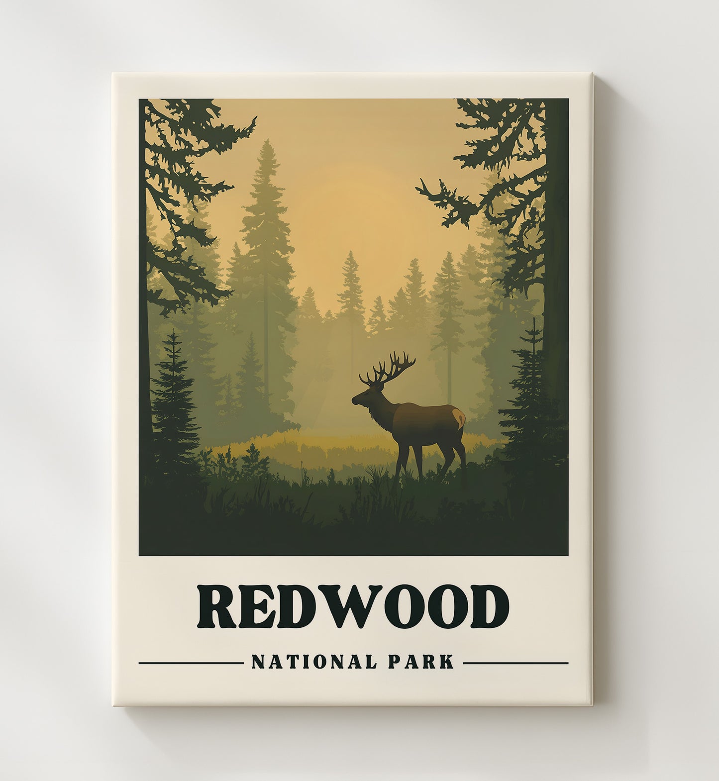Redwood Tall Trees Grove Version 1 National Parks Wall Art - 20x24 Canvas