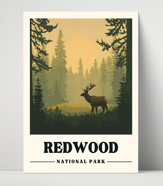 Redwood - Tall Trees Grove Design 1 - National Park - 16x20 Unframed Print