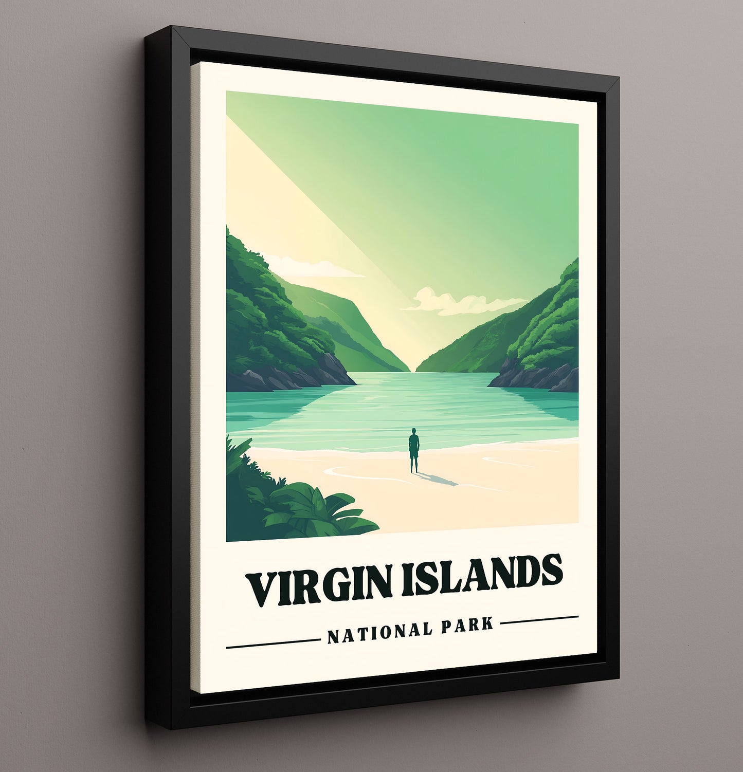 Virgin Islands Trunk Bay National Parks Wall Art - 16x20 Framed Canvas