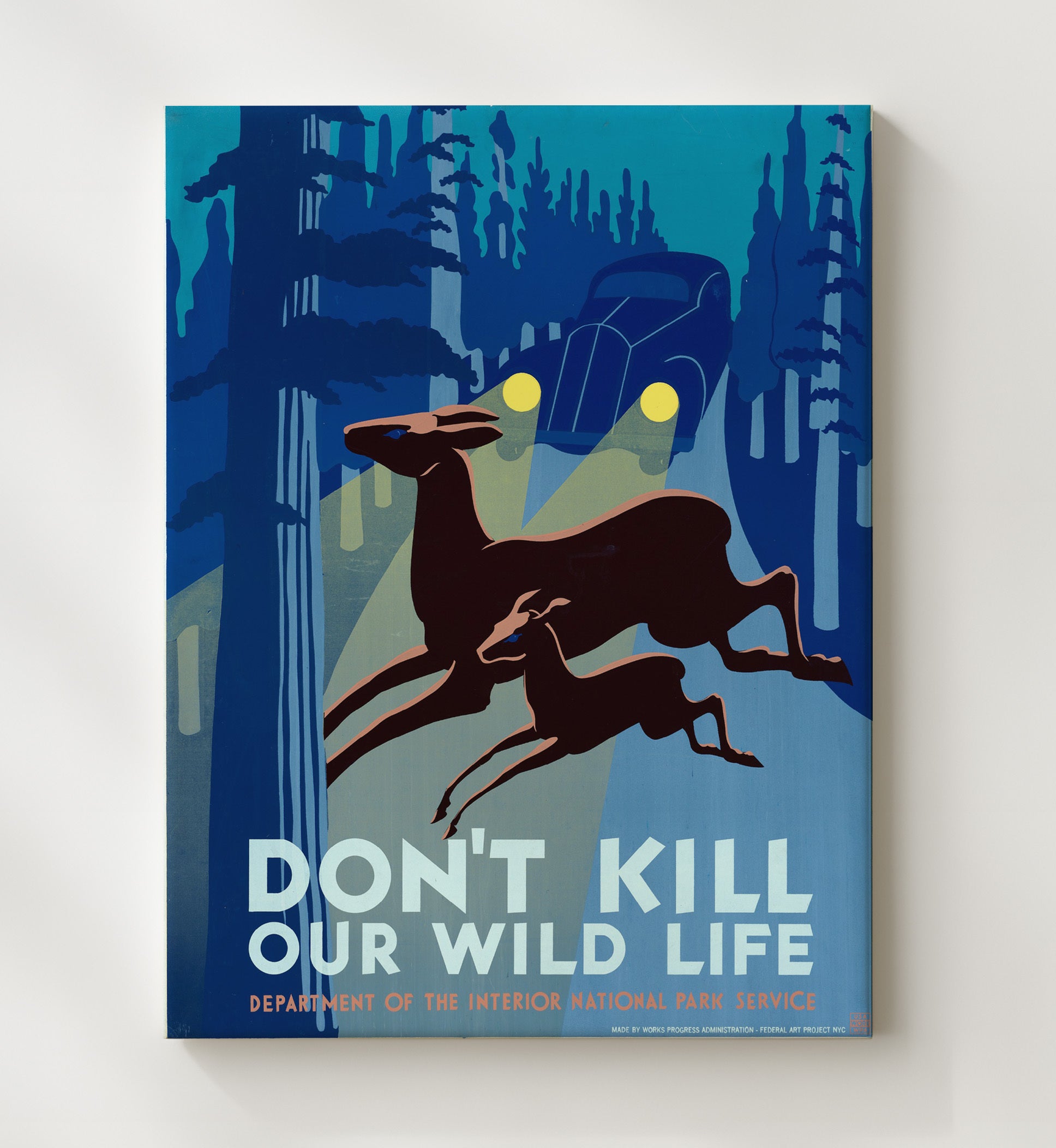 Wildlife - Deer vs. Headlights National Parks Wall Art - 20x24 Canvas