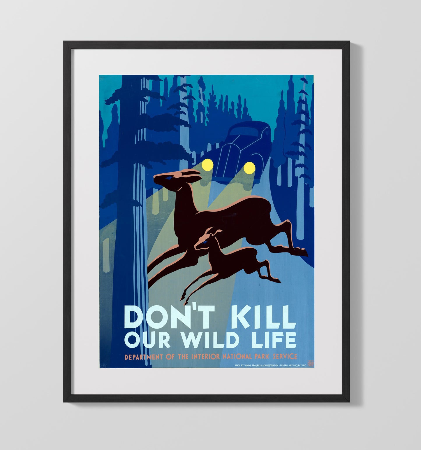 Wildlife - Deer vs. Headlights National Parks Wall Art - 16x20 Gallery Frame