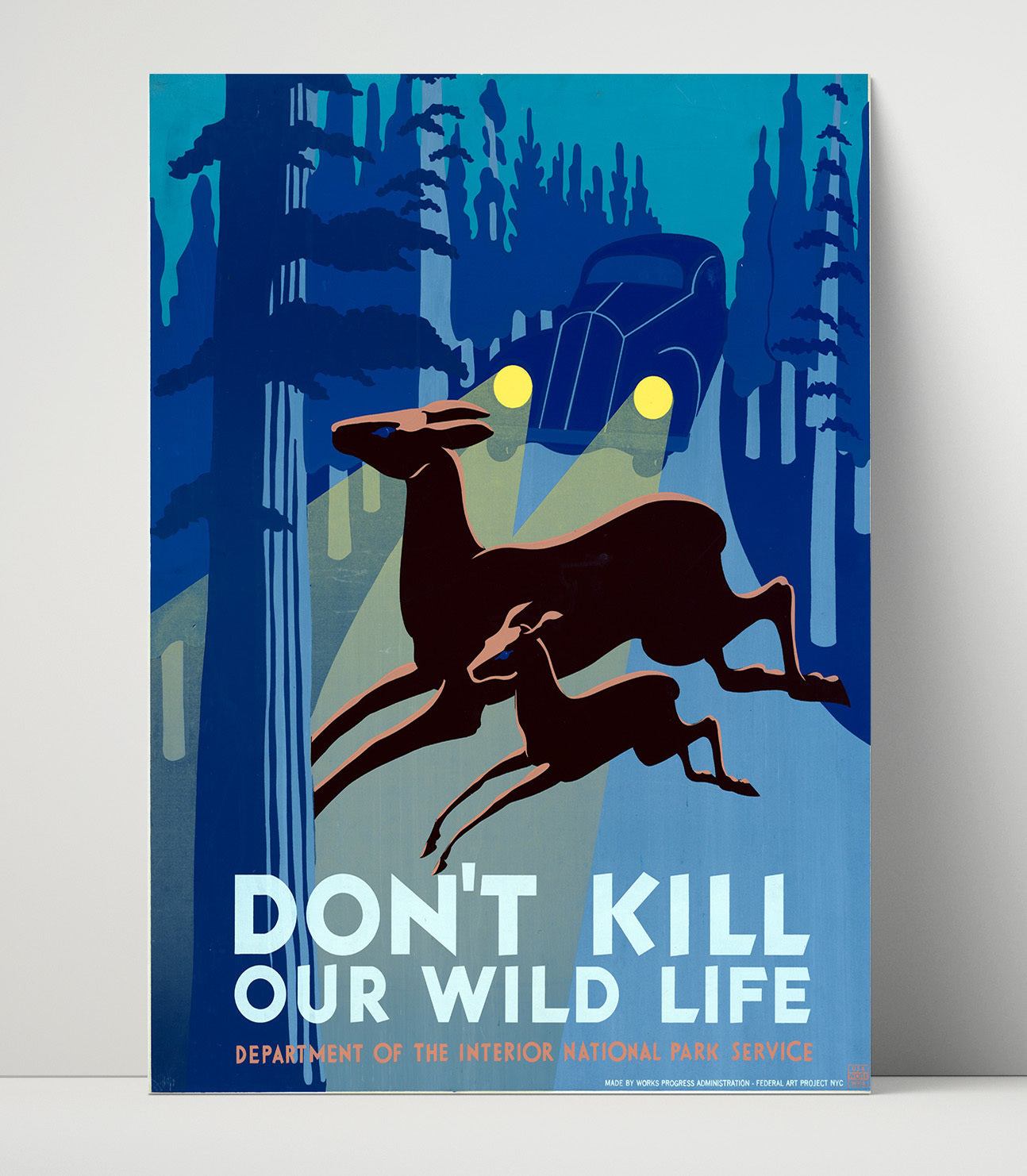 Wildlife - Deer vs. Headlights National Parks Wall Art - 16x20 Unframed Print