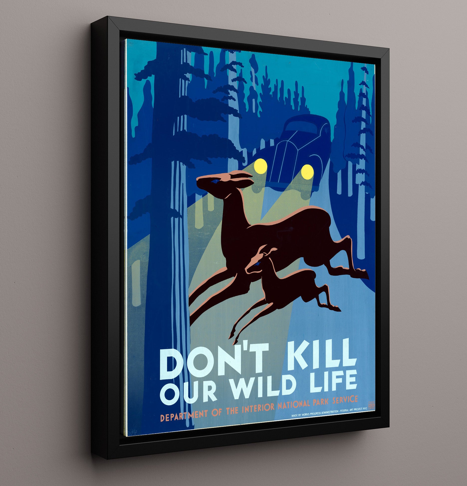Wildlife - Deer vs. Headlights National Parks Wall Art - 16x20 Framed Canvas