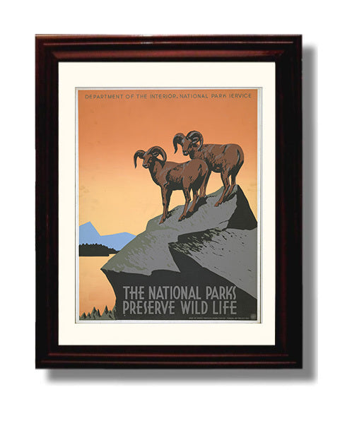 National Parks Poster - Wildlife - Rams on the Rocks National Parks Vintage Framed Prints Framed 8x10