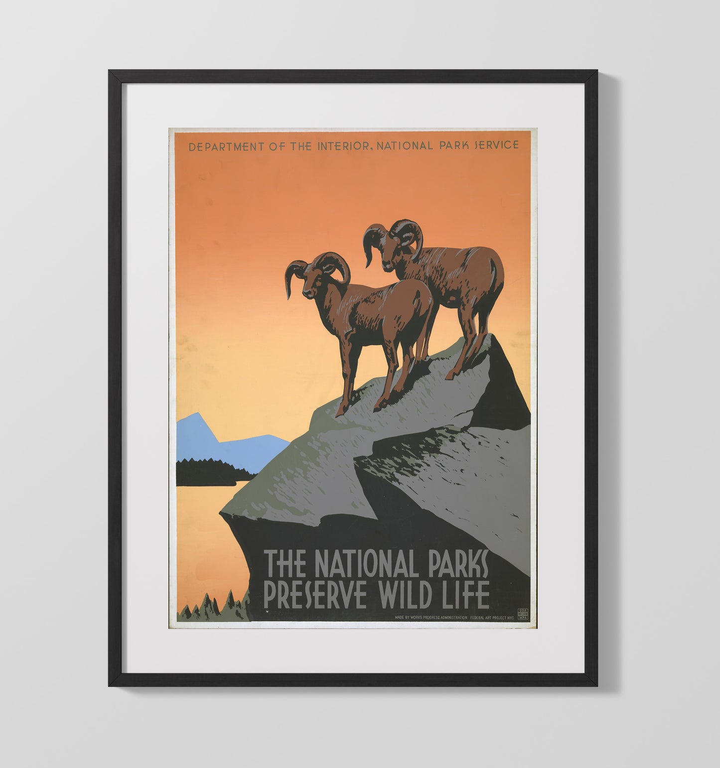 Wildlife - Rams on the Rocks National Parks Wall Art - 16x20 Gallery Frame