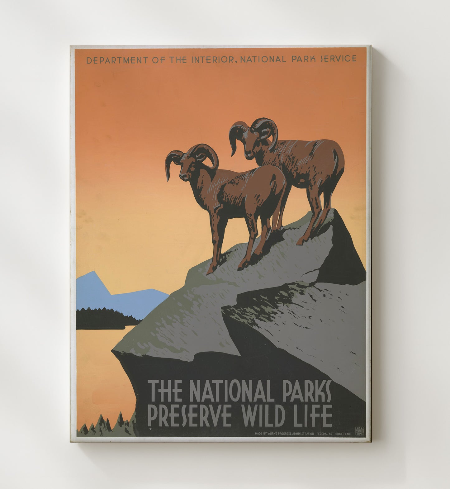 Wildlife - Rams on the Rocks National Parks Wall Art - 20x24 Canvas