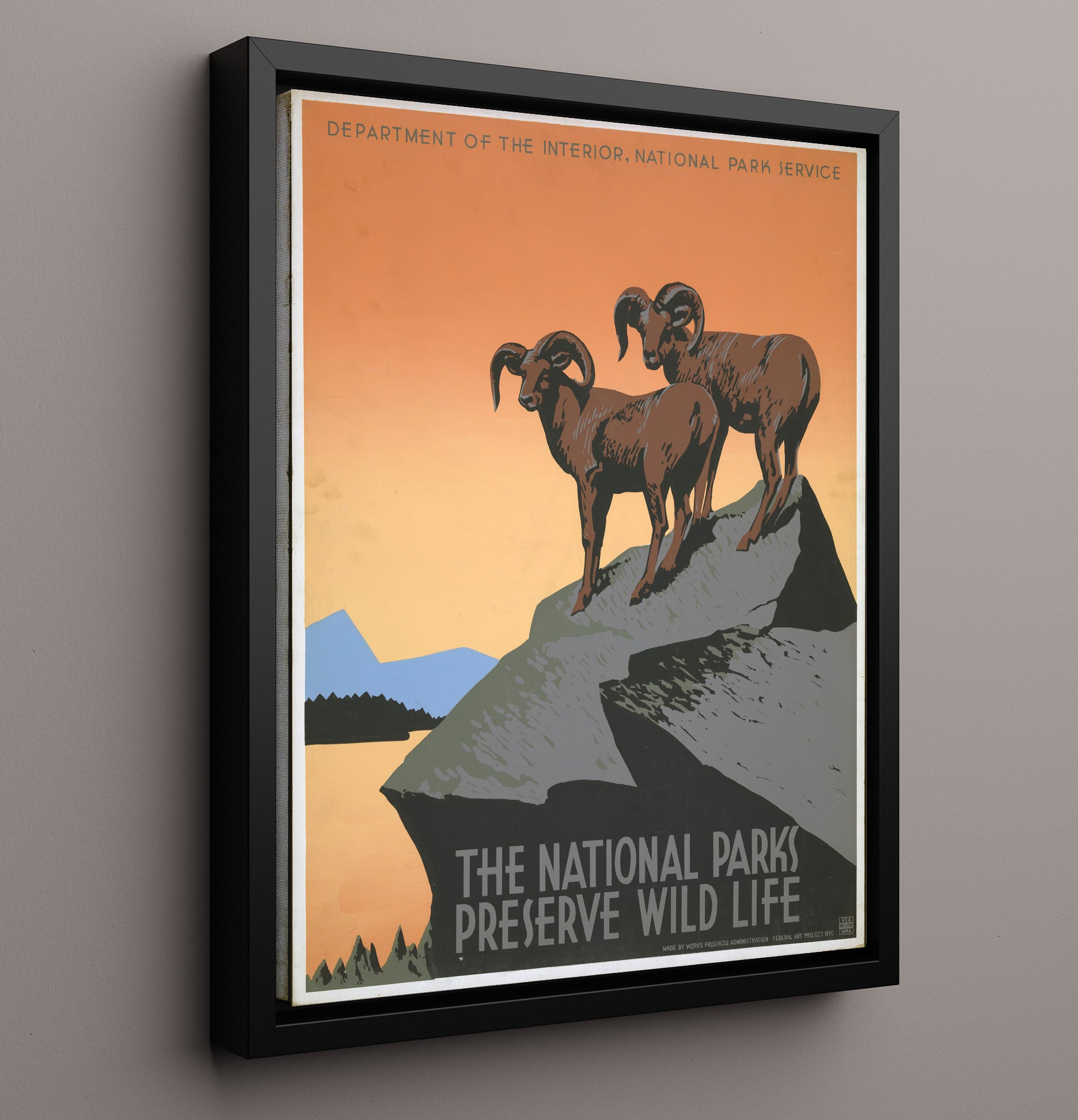 Wildlife - Rams on the Rocks National Parks Wall Art - 16x20 Framed Canvas