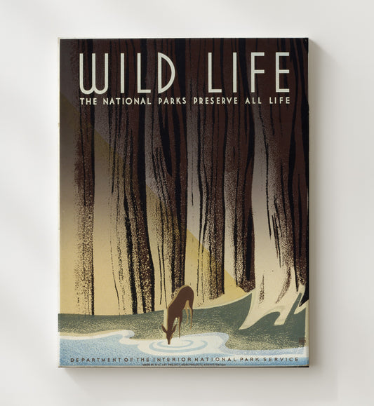 Wildlife - Thirst in the Forest 8x10 Canvas national park wall art