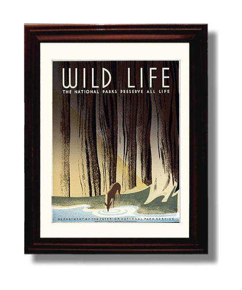 National Parks Poster - Wildlife - Thirst in the Forest National Parks Vintage Framed Prints Framed 8x10
