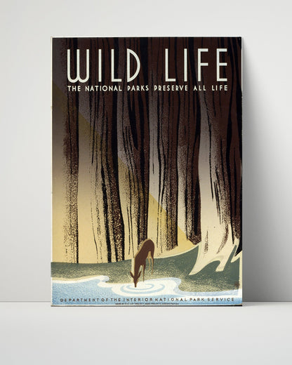 National Parks Poster - Wildlife - Thirst in the Forest National Parks Vintage Framed Prints Poster 16x20