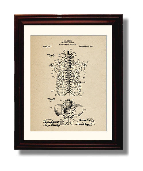 Patent Print - Anatomical Skeleton - Charles E. Fleck - 1911 - Patent 983547 Patent Wall Art