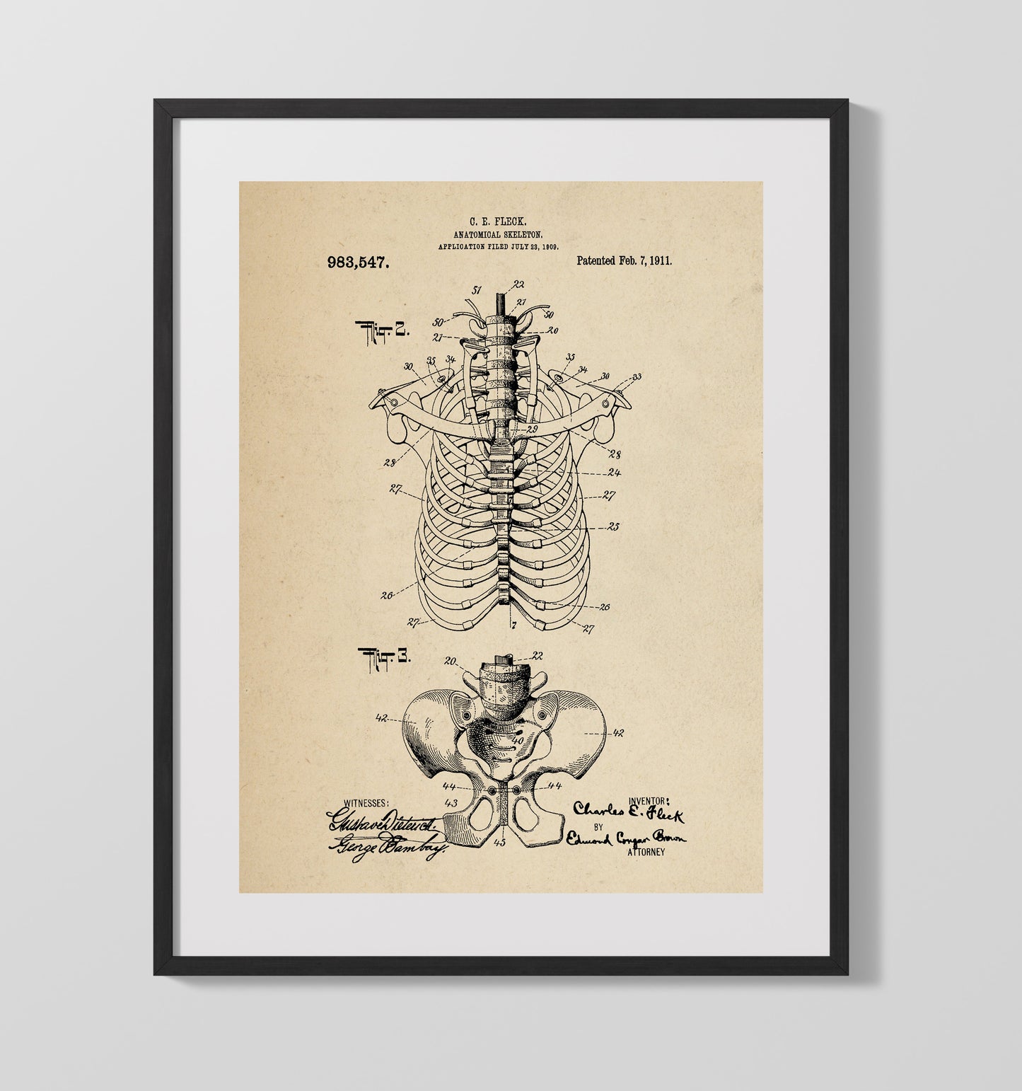 Patent Print - Anatomical Skeleton - Charles E. Fleck - 1911 - Patent 983547 Patent Wall Art