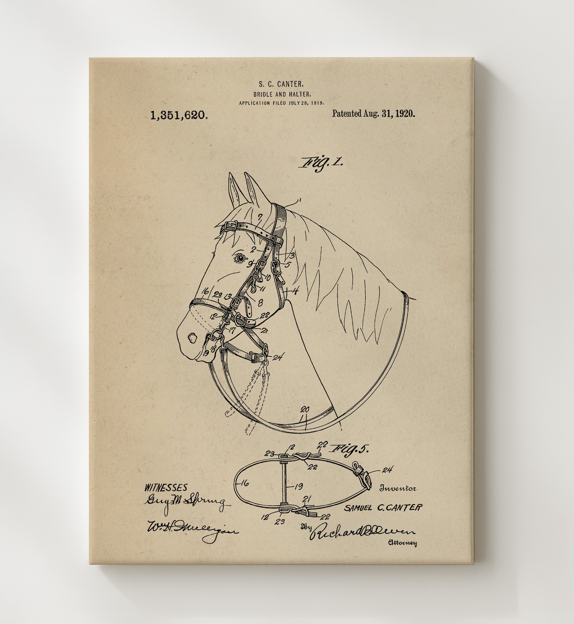 Patent Print - Bridle And Halter - Samuel C. Canter - 1920 - Patent 1351620 Patent Wall Art